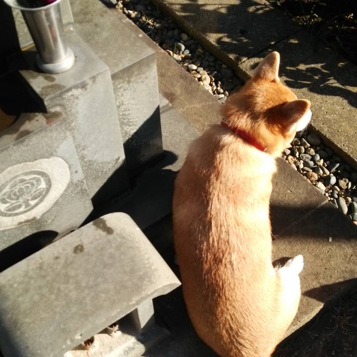 0f8db56f 67bb 4c7e acf5 25b80edbace0