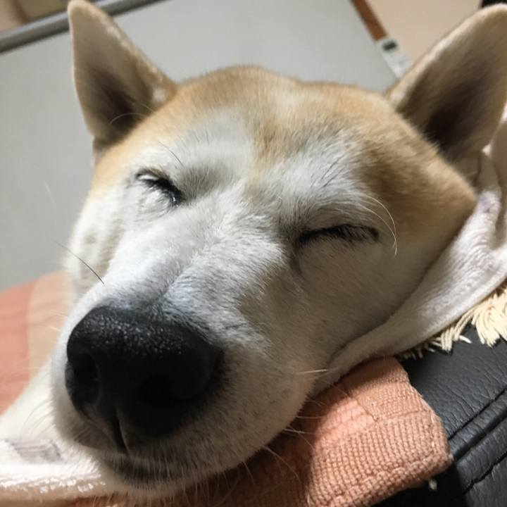 0f8dcfe6 7f76 436d b48d 8e6a8b9e5880