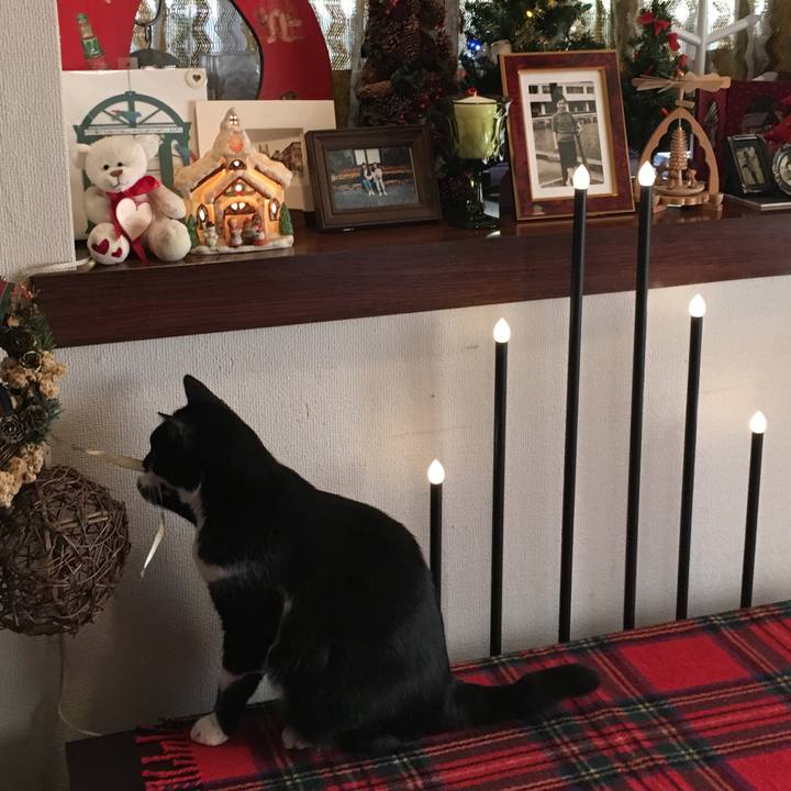 0f8e553d ac65 4626 ba51 cc3c323d4cdd