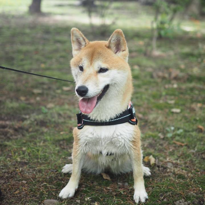 0f905b89 b667 40f7 8a0b 922b3612ccc3