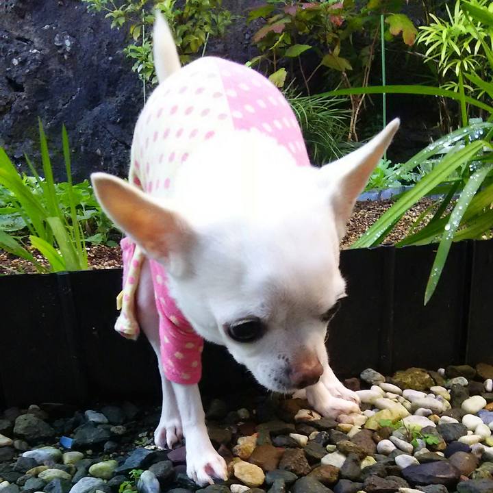 0f90cd72 b585 4517 9999 141033a66191