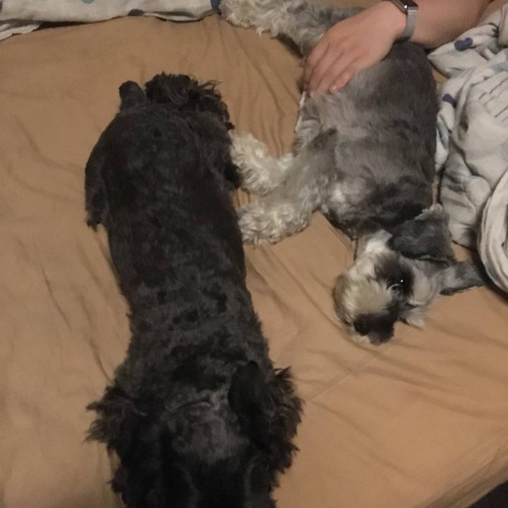 0f90d0f5 4b55 4c1c 9df4 ff9f3f7c359c