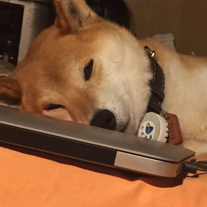 0f910bac 1c30 4b36 a324 37c0b0203ef1