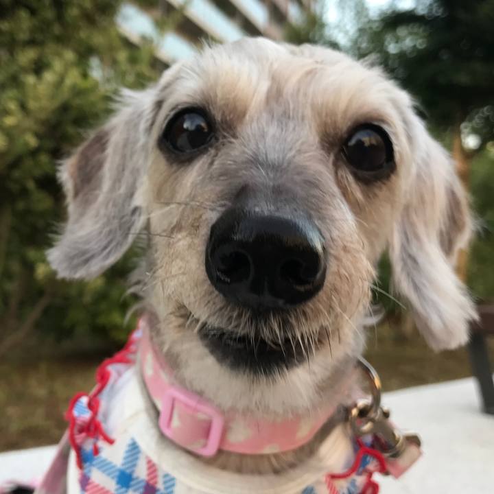 0f91edc1 4e96 4af4 8048 77bdc6a1b346