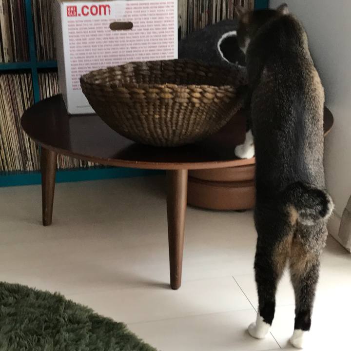 0f921514 03e9 44fe 96e9 94ffefed74f4