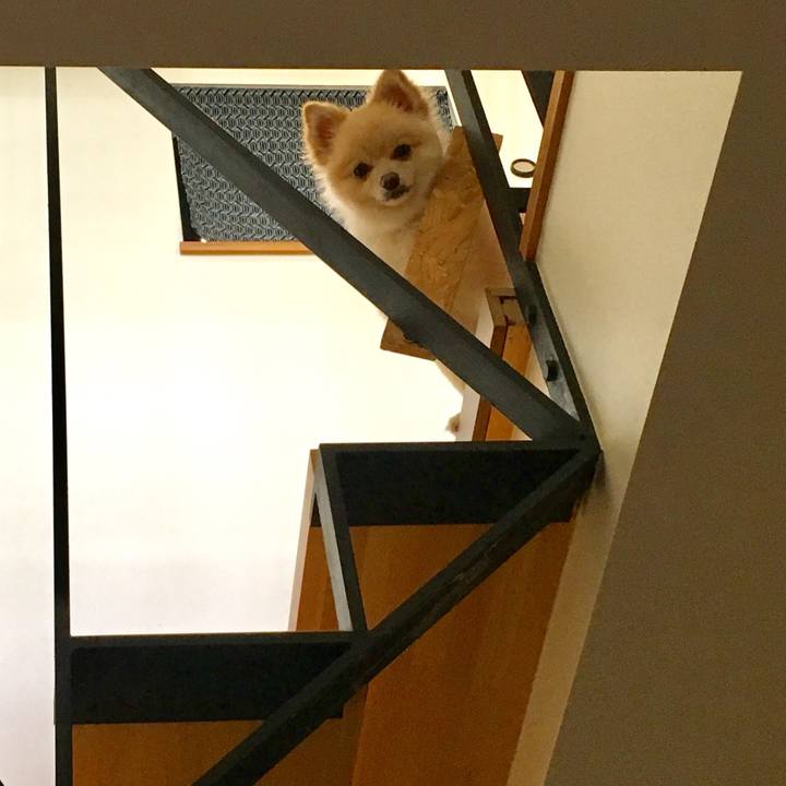 0f922097 61f1 46aa 9f33 b02722040802