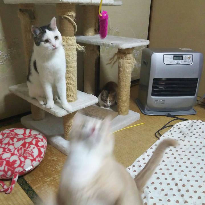 0f932f27 7a31 462e a993 376950706950