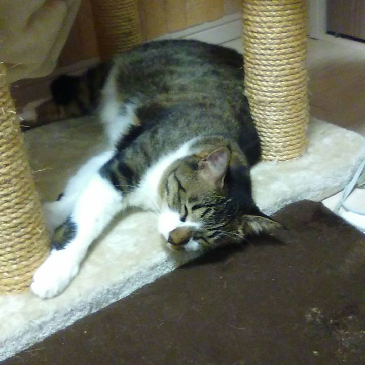 0f9346f1 1ba8 45ac a088 2b9418e26dd5