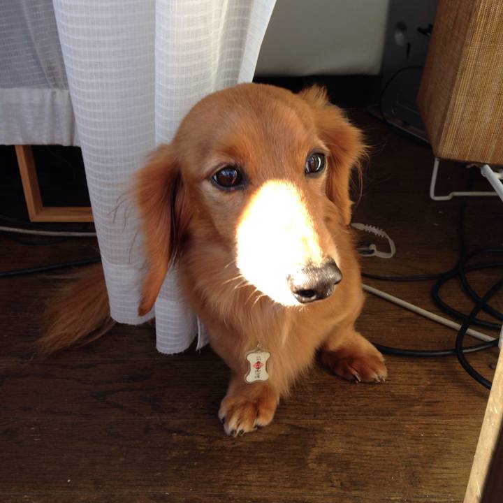 0f937667 9ac8 4da9 aa22 82cf1ffc7838