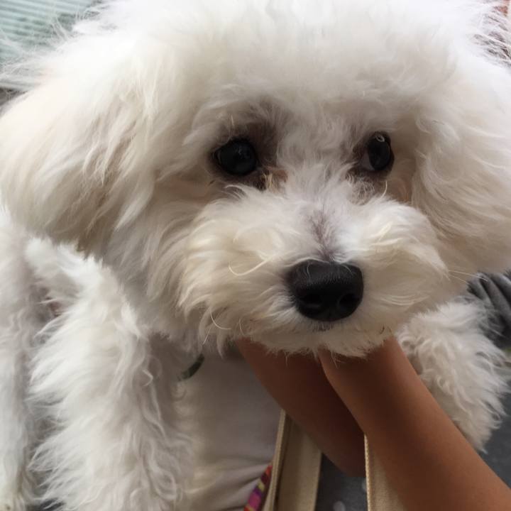 0f947e92 90e0 474f 8c4f c8847135baf1