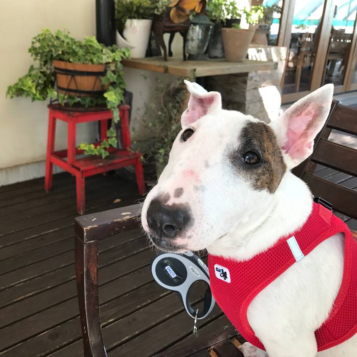 0f948ab5 f576 4f81 9ce1 02651d24e3e8