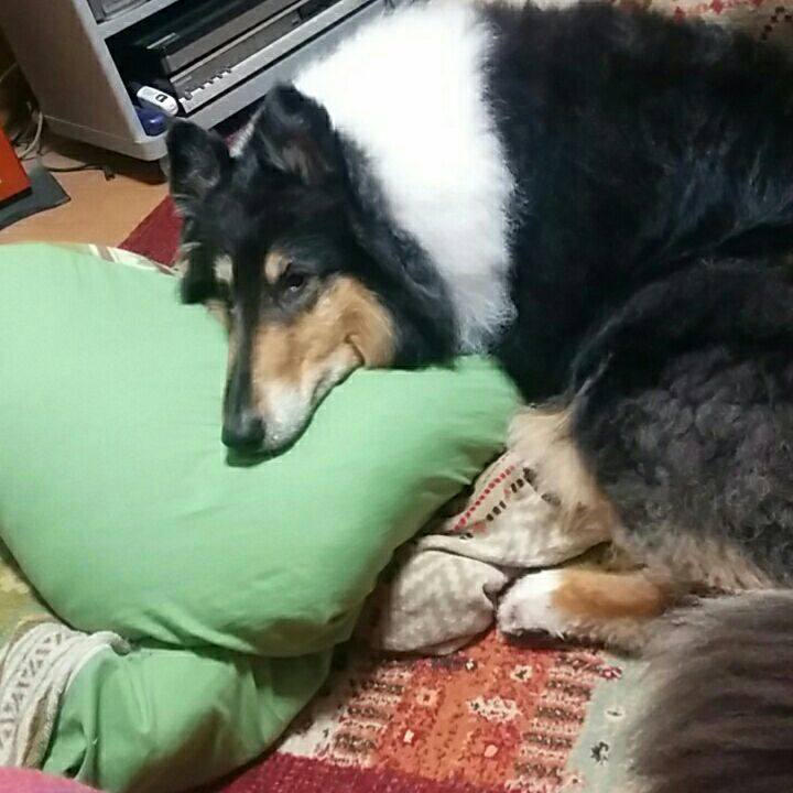 0f957ca5 5313 4c69 a7e2 c0b8feb96083