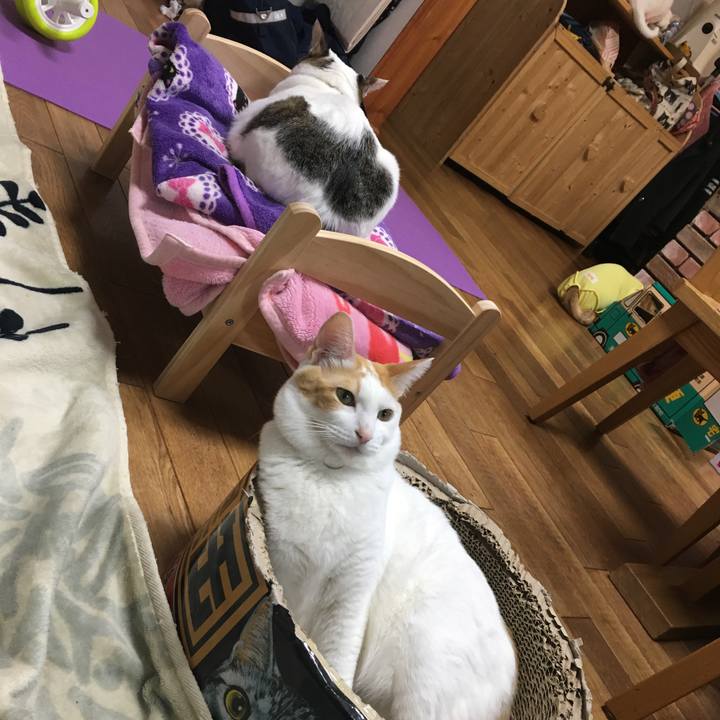 0f958e52 4521 4d0d b8f0 f84d632616c0