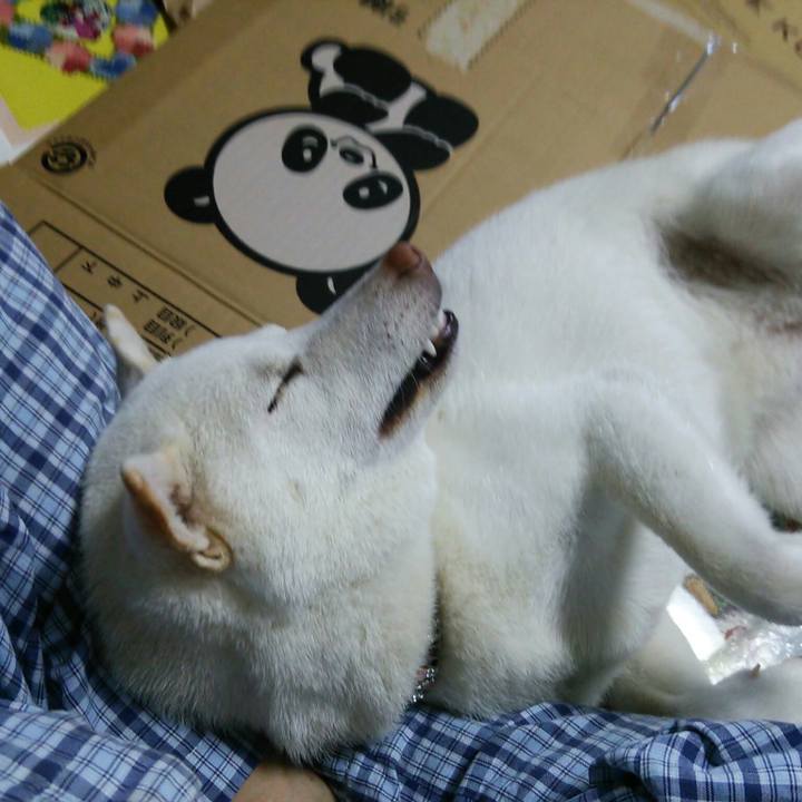 0f962f6f e1d0 4a00 8076 facb26b23738