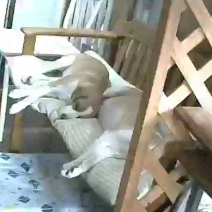 0f963002 4b19 4194 8664 a7b7d1f0daa8