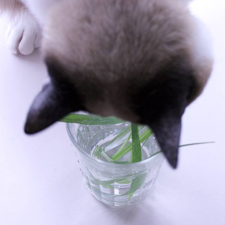 0f966e92 7431 48b3 87ab d496826737df