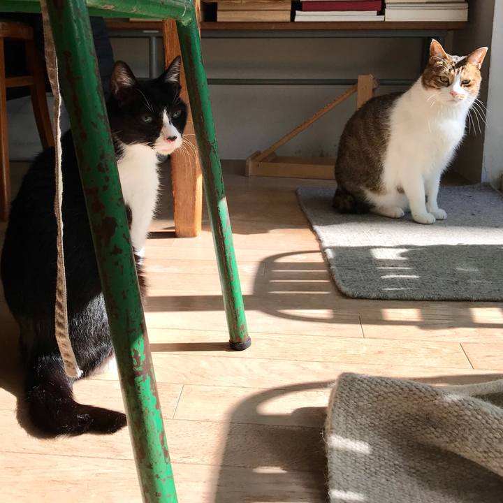 0f96ccab 435a 43d7 829a 7b66322bc22d