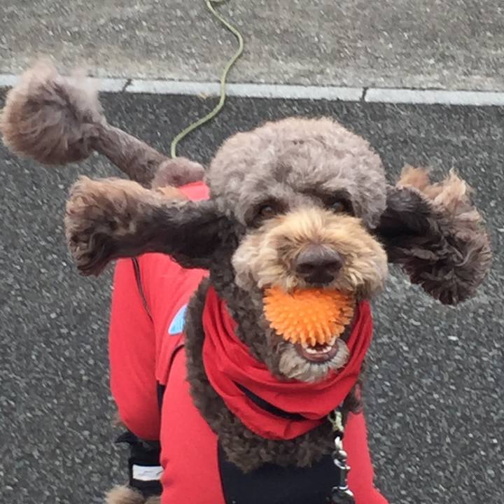 0f97189d 48d0 489b 8e34 8a1a61f93bd8