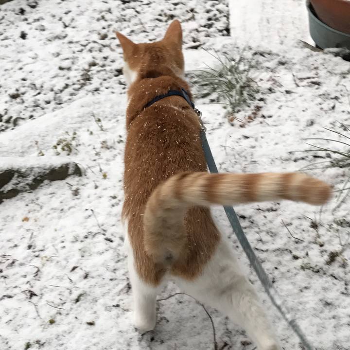 0f97dd2e 1d6f 4927 8a33 4fbdf577f494