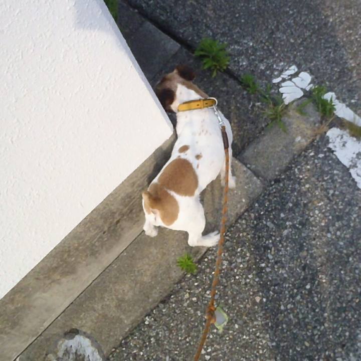 0f97fa2f e276 416b 8d3d 1ce2dfd76573