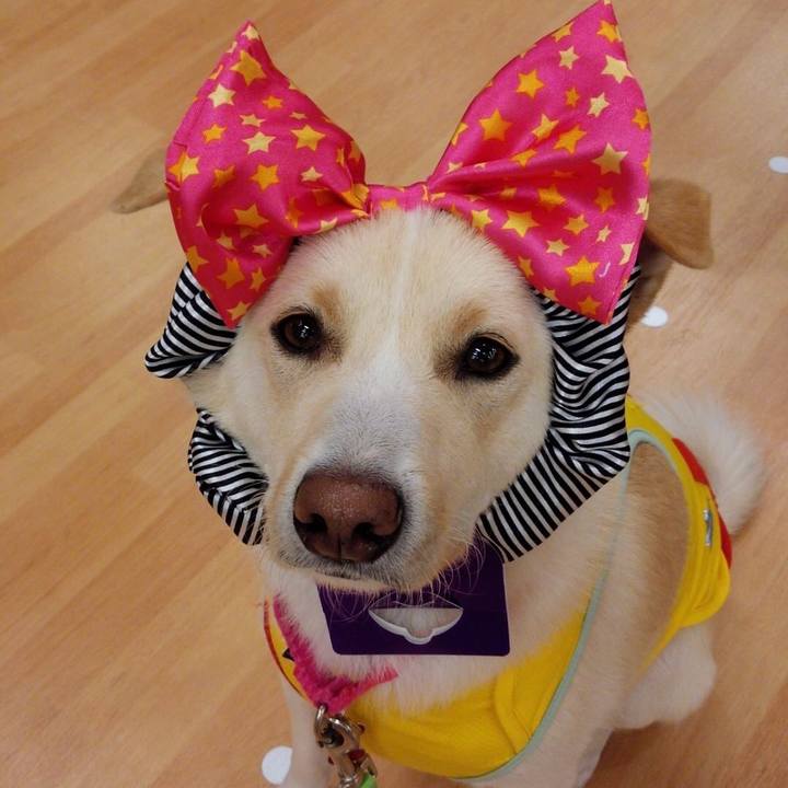 0f9829f5 fd92 4578 bfd8 7e08a49095d7