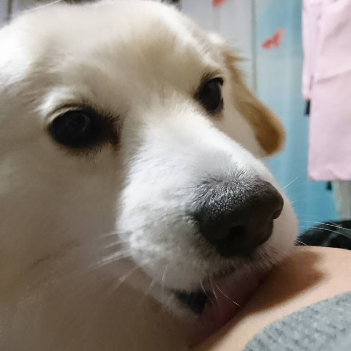 0f983eb3 2e82 42af 95cd 34977638c0ff