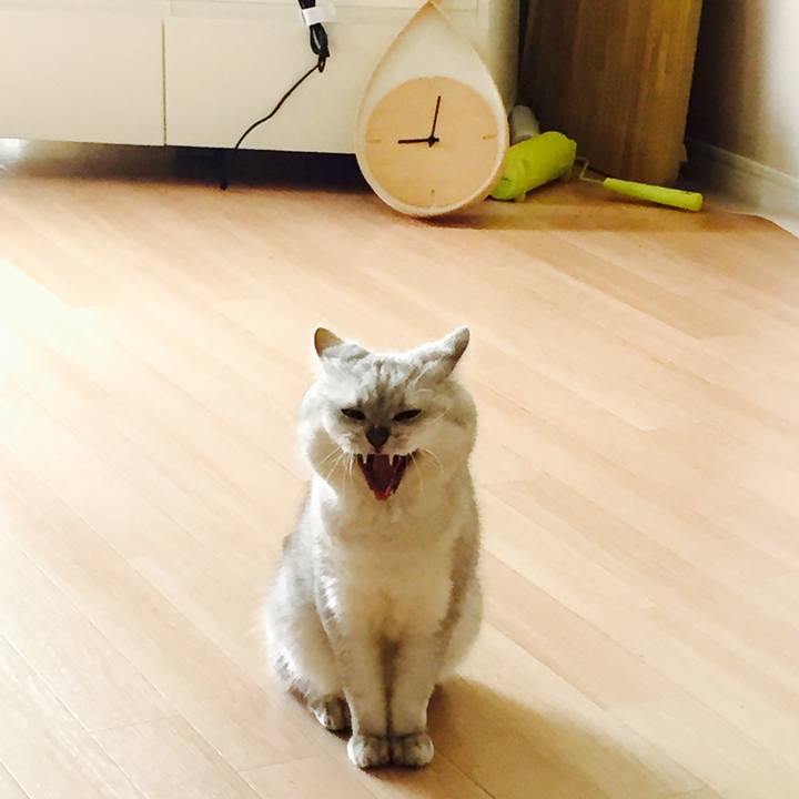 0f999f2c 0c99 4240 943a c1f463f4ff04