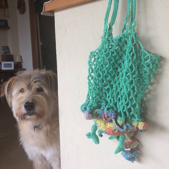 0f99f8c6 fc19 4eb1 9ee1 0275eea4517b