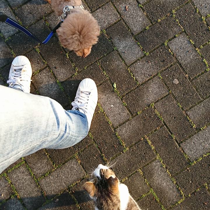 0f9a5ae5 4a63 4439 8b46 536f01338b72