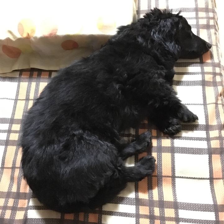 0f9bc618 f306 4716 b5fe b25be3b09077