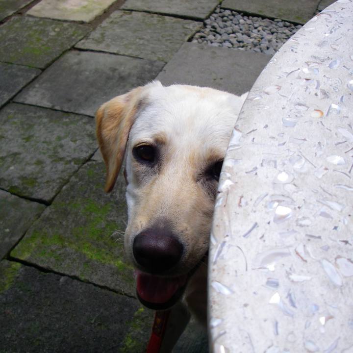 0f9c4616 f77d 4056 b25f c64e200addea