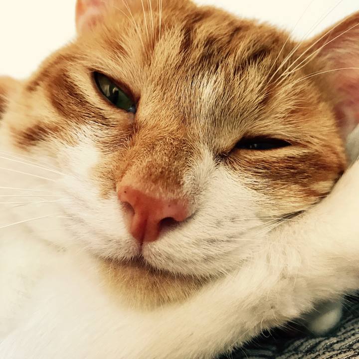 0f9c9604 6c29 433c af97 f96d1f8fa85a