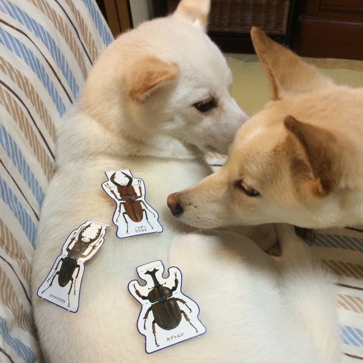 0f9ca061 2b0a 4257 906b 1e4de054db8d