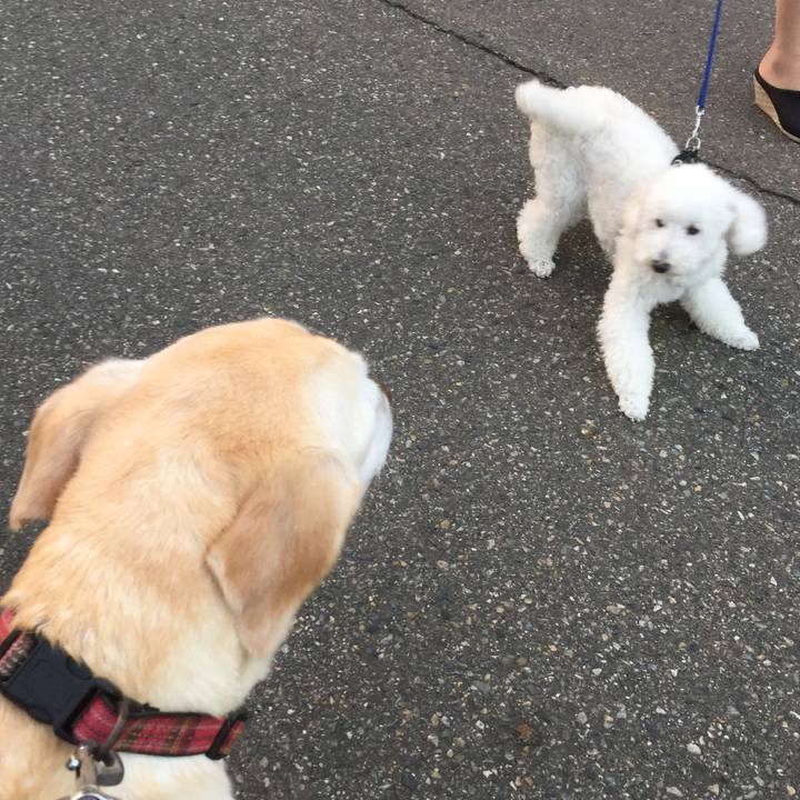 0f9cb33b 2b81 41fb afc6 38340fa31c61