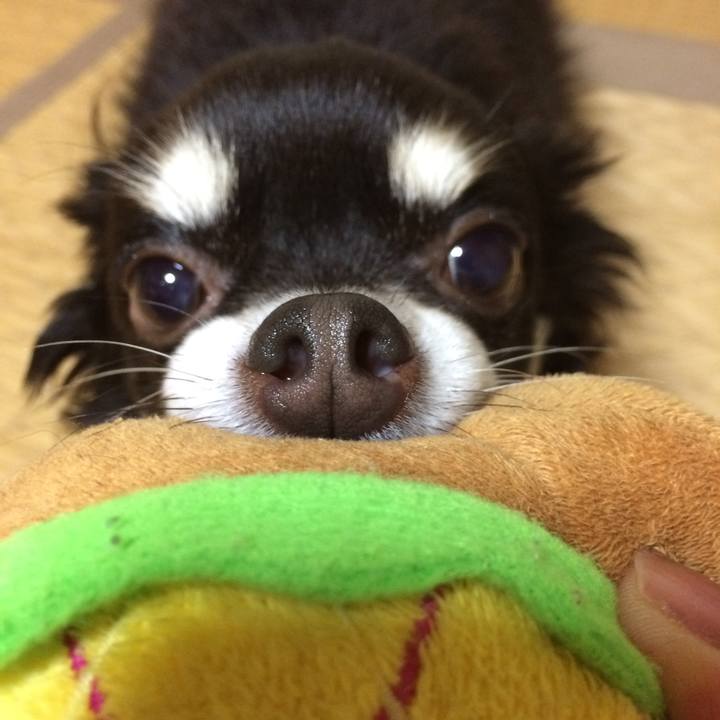 0f9d15e9 76f4 40b7 85b0 5c6d6c7729f6