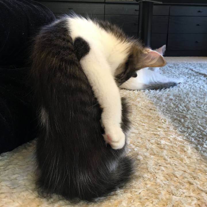 0f9d2e09 e0cc 4791 85b3 e0a517a6997f