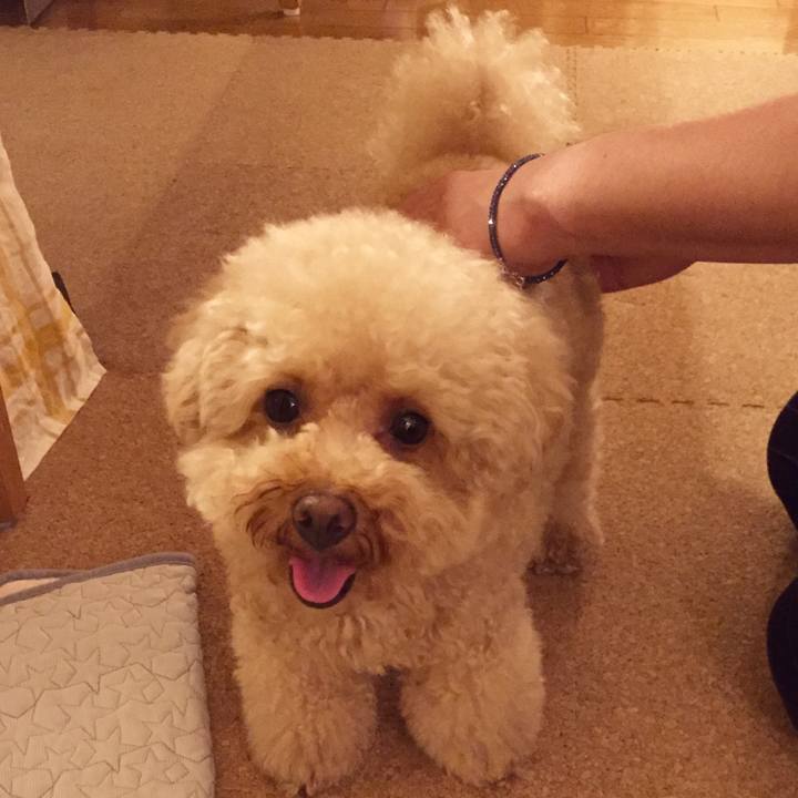 0f9dbc5f 42d0 4b30 a92b c586625e4e51