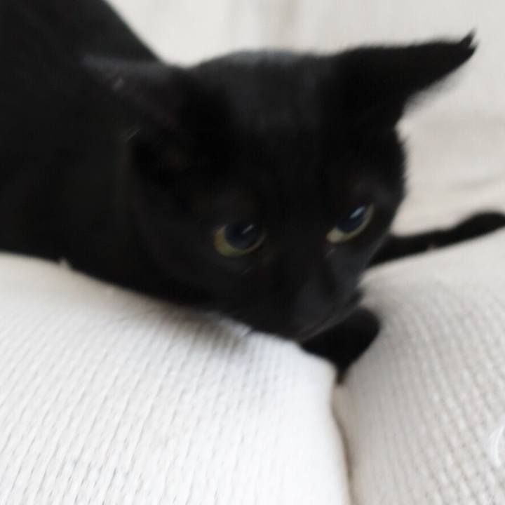 0f9dd49c a677 4005 b5e4 0ad25e748357