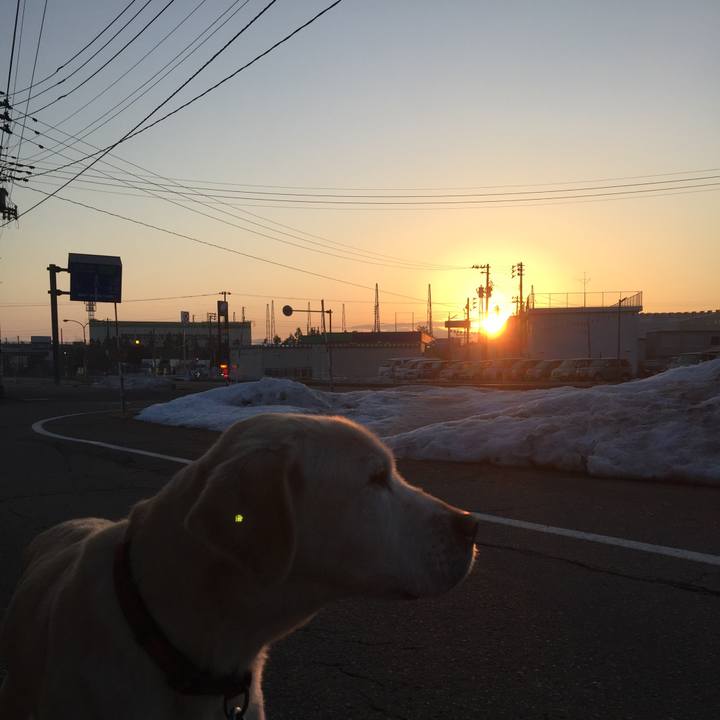 0f9e84a7 8186 4b42 b6c2 06b27233c2f9