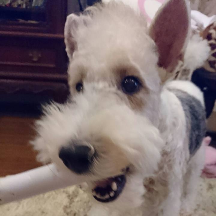 0f9e9481 2ed5 4246 bf9c c604672d0a39