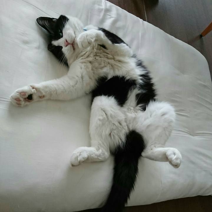 0f9ea665 41a4 4bb5 9f9f 3f799334b642