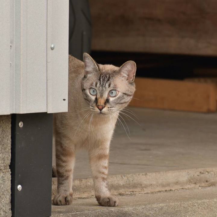 0f9eca18 c03b 4a02 aba3 f97e8ac09c37