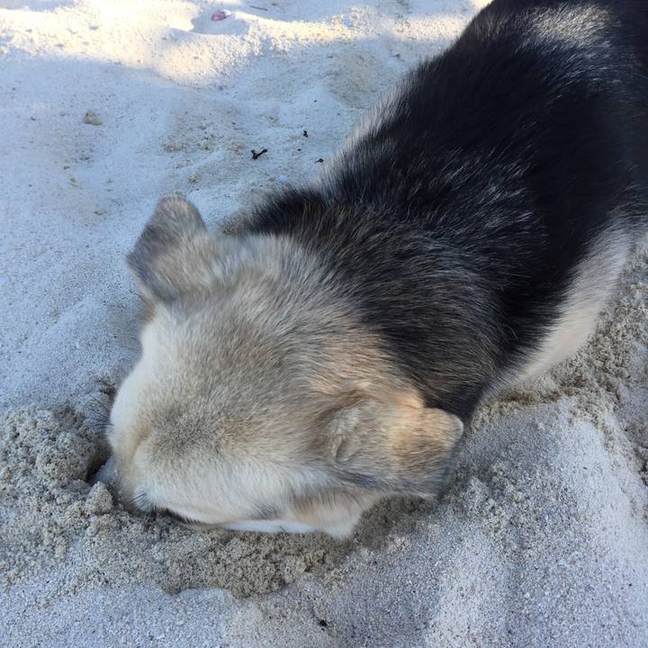 0f9eefd5 c1b6 478e a740 6f1d6f94f962