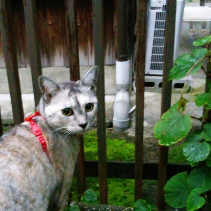 0f9ef1f6 e5f0 4565 b3c1 9141ef7ab8ef