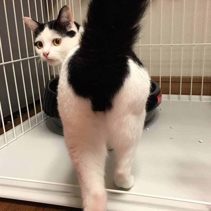 0f9f9744 4179 4995 be6f daea542c19a8