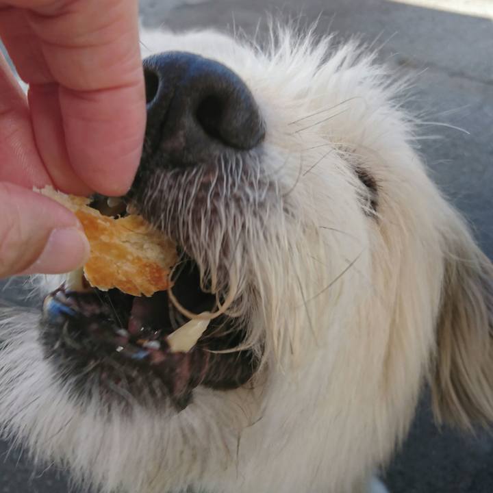 0f9fa56c 486c 4b83 831c 1c2a553b84a8