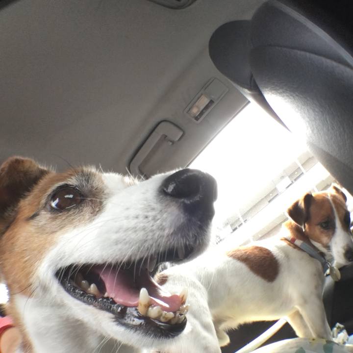 0f9fa87a 3fe6 4a08 af57 3fada1cc7a4c