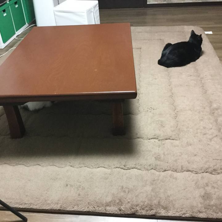 0f9fcd74 c76c 4c9f a5c6 824bf9d9e980