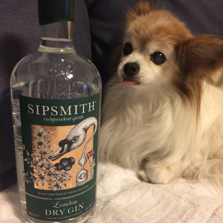 0f9ff6ae 504e 4002 b3ad 0294a2b63425