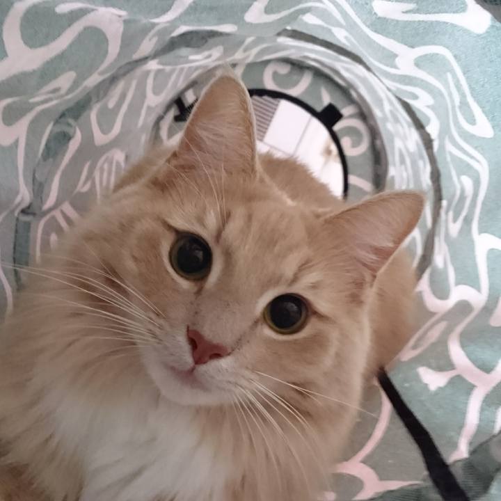 0f9ffdac 149b 4cf5 885c 7b5f19b0909a